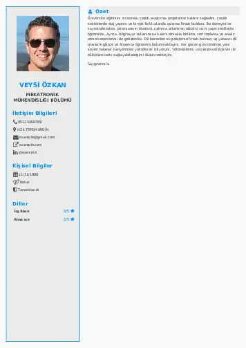Mekatronik Mühendisliği Cv Örnekleri cv indir